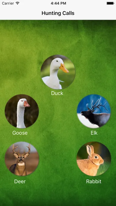 Capturas de tela do Hunting Calls 2016