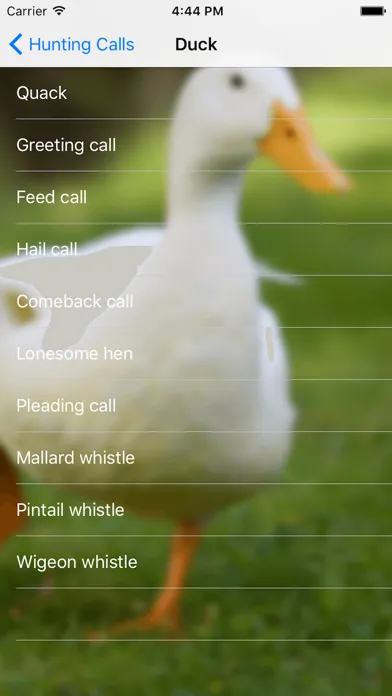 Capturas de tela do Hunting Calls 2016
