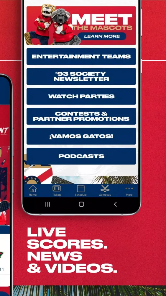Captures d'écran de Florida Panthers