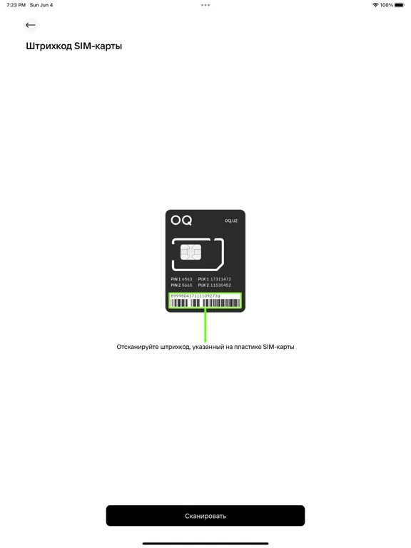 Скриншоты OQ iPad 