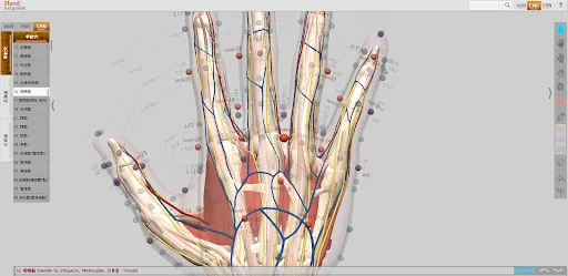 Capturas de pantalla de Hand Acupoint