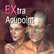 Extra Acupoint