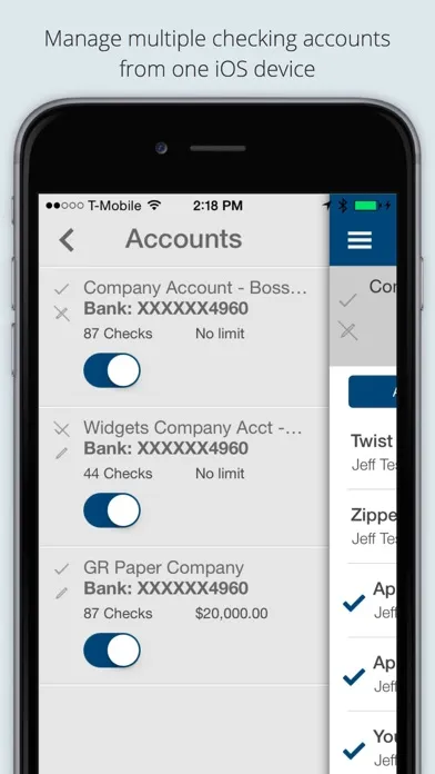 eChecksPro Mobile Checkbook 스크린샷