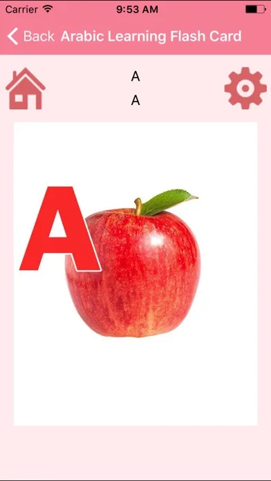 Скриншоты Arabic Learning Flash Card