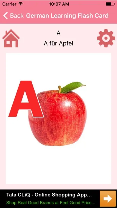 تصاویر German Learning Flash Card