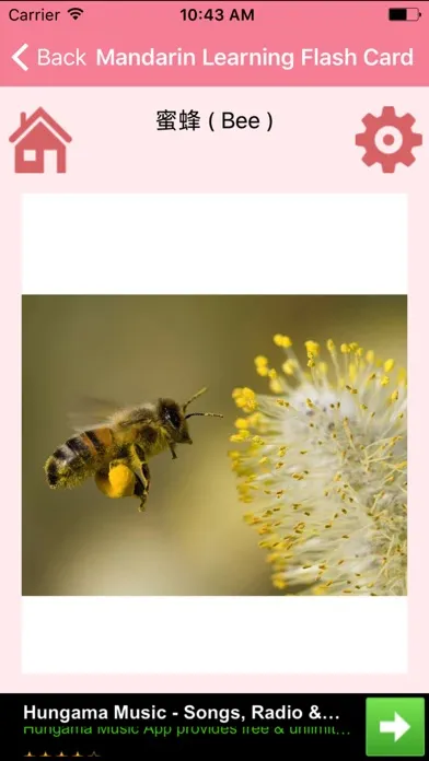 Скриншоты Mandarin Learning Flash Card