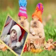 Professional Photo Frame And Pic Collage Professional Photo Frame And Pic Collage