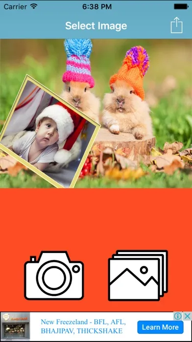 Professional Photo Frame And Pic Collage स्क्रीनशॉट