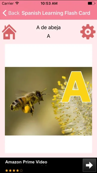 Spanish Learning Flash Card Screenshots