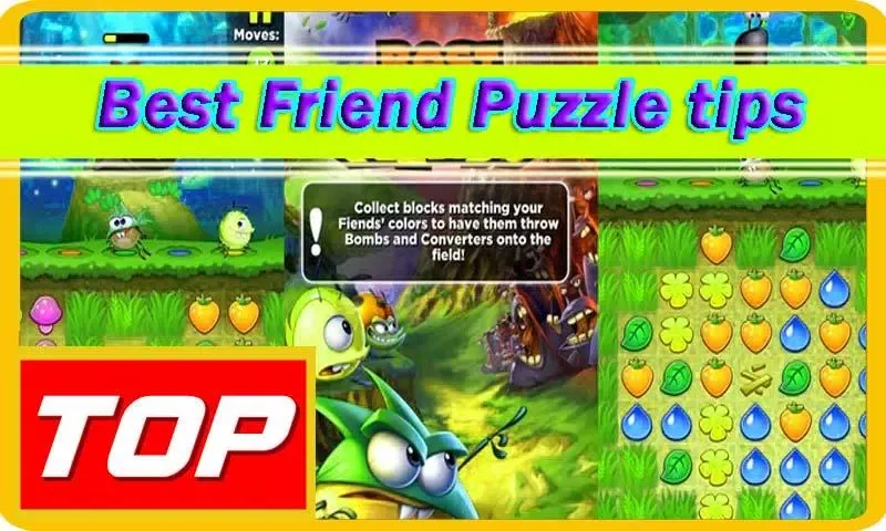 Screenshot di Guide at Best Friends Puzzle