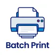 Batch Print ⁺ Batch Print ⁺