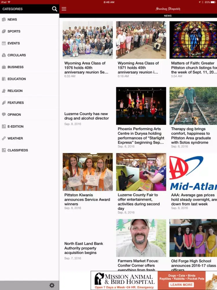 Sunday Dispatch iPad  스크린샷