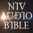 NIV Audio Bible