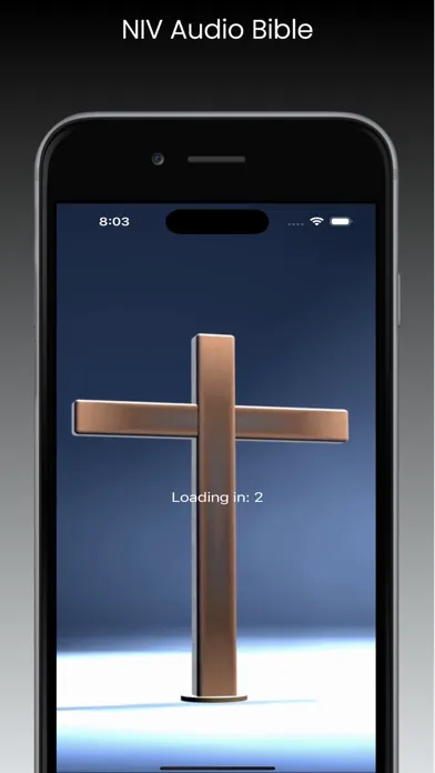 NIV Audio Bible应用截图