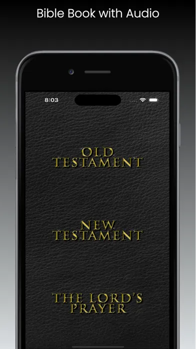 NIV Audio Bible应用截图