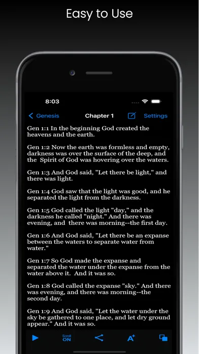 NIV Audio Bible应用截图