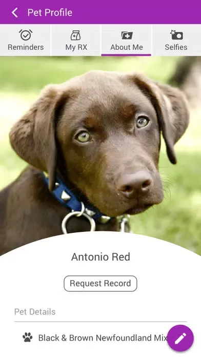 ภาพหน้าจอของ Abel Pet Clinic