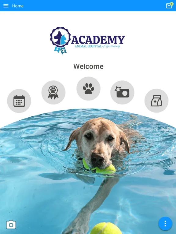 Ảnh chụp màn hình của Academy AH Laurinburg iPad 