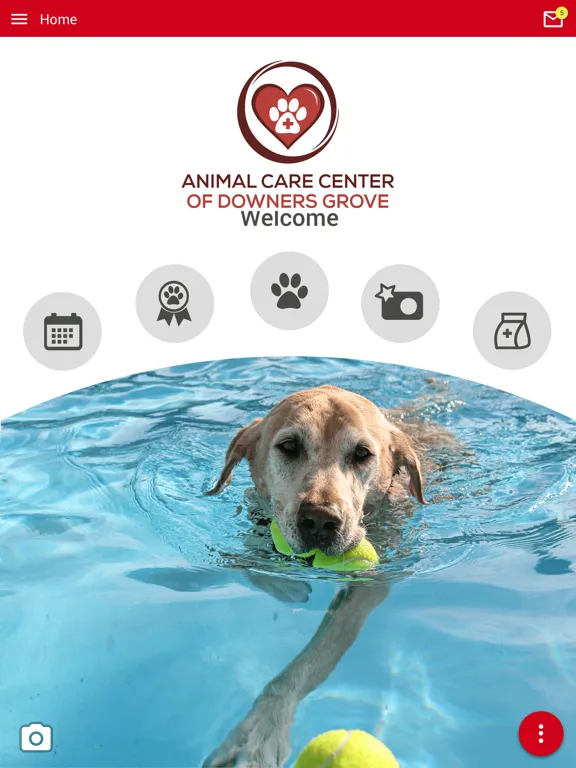ภาพหน้าจอของ ACC Downers Grove iPad 