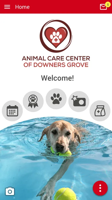 ภาพหน้าจอของ ACC Downers Grove