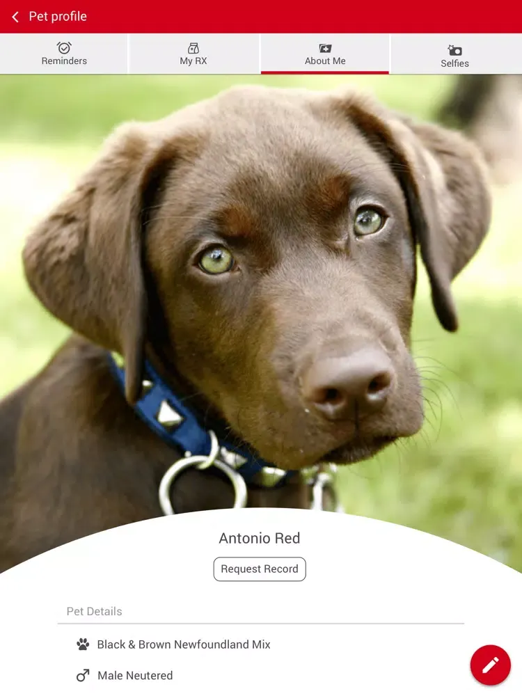 Animal Care Center of Polaris iPad  スクリーンショット