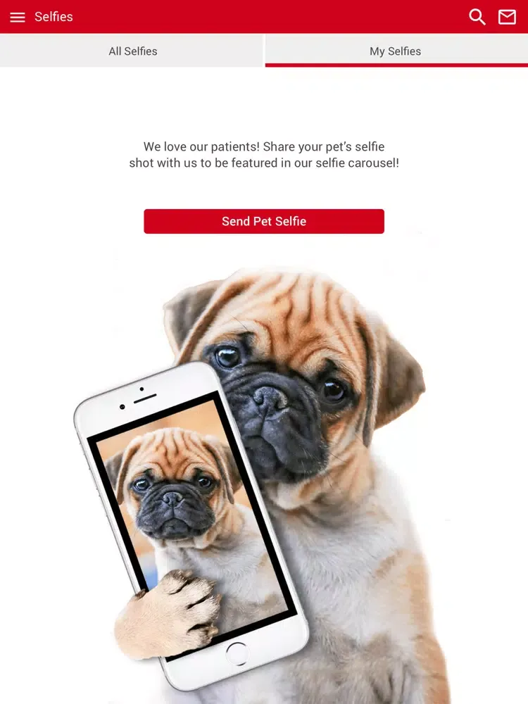 Animal Care Center of Polaris iPad  スクリーンショット