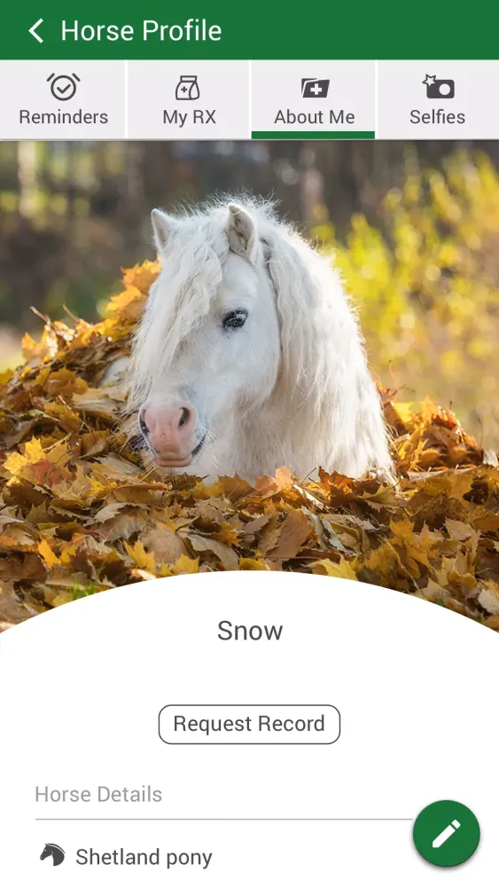 صور Equine Medical Services