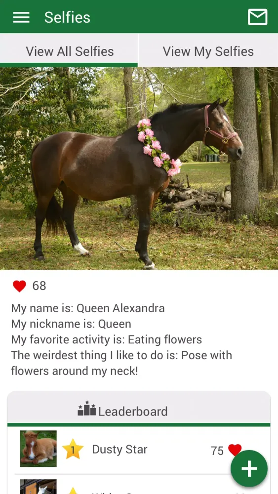 صور Equine Medical Services