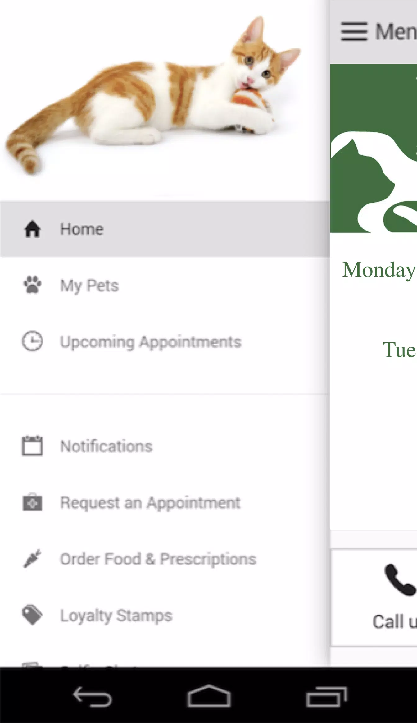 Cheshire Animal Hospital Screenshots
