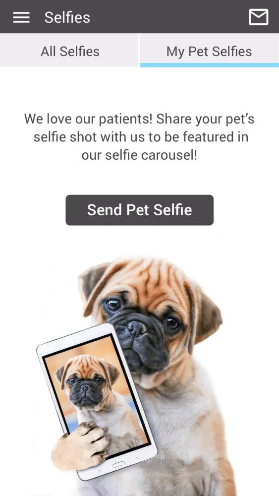 Humber Valley Vet Clinic スクリーンショット