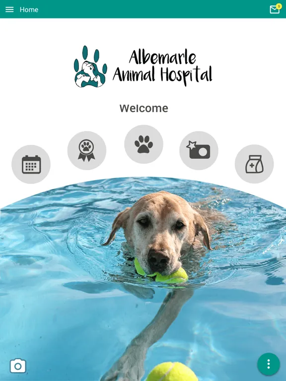 Скриншоты Albemarle Animal Hospital iPad 