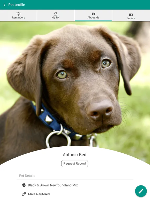 Скриншоты Albemarle Animal Hospital iPad 