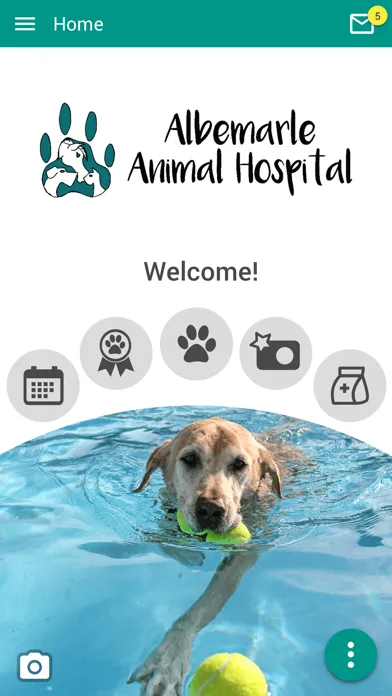Скриншоты Albemarle Animal Hospital