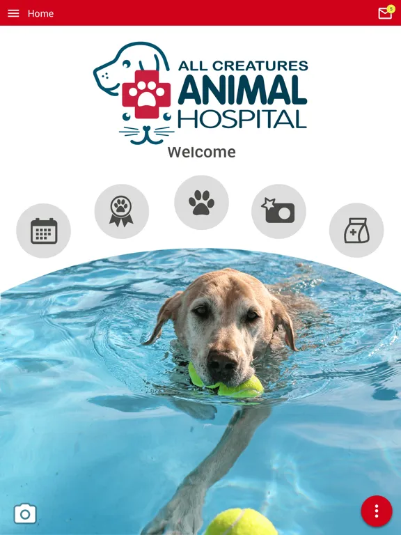 ACAH Tampa Bay iPad  스크린샷