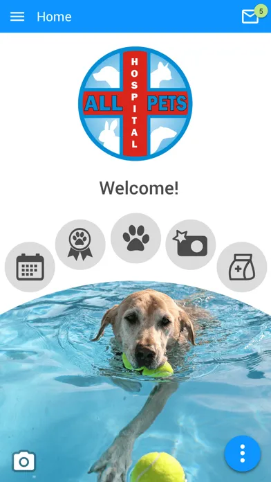 All Pets Hospital スクリーンショット