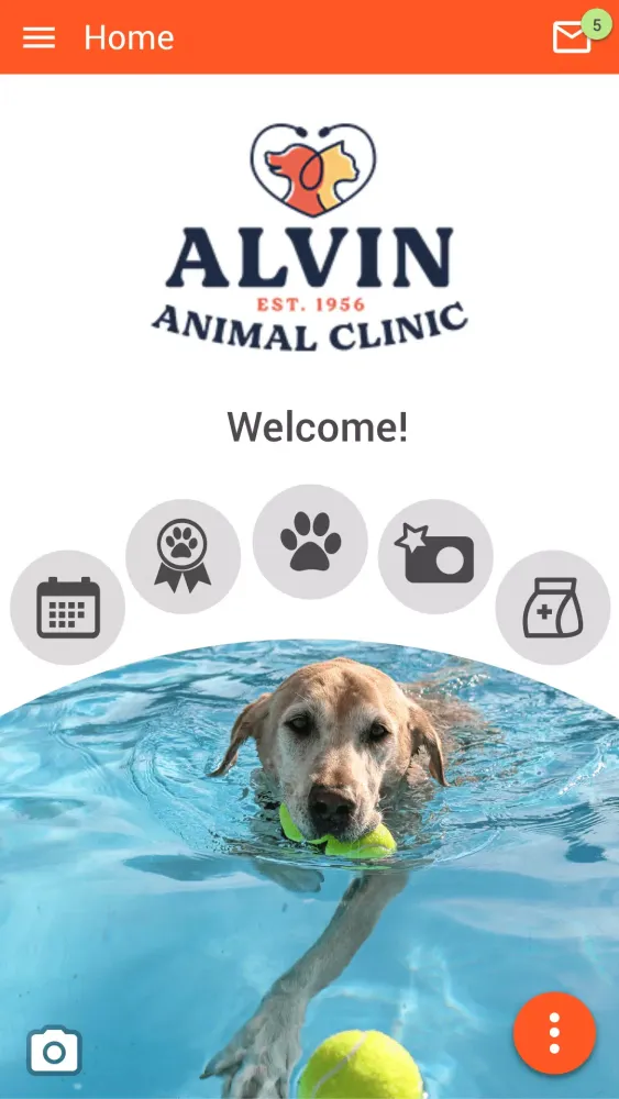 Alvin AC 스크린샷
