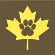 Amber Leaf Animal Hospital