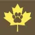 Amber Leaf Animal Hospital
