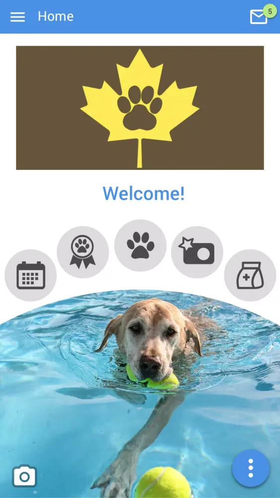 Скриншоты Amber Leaf Animal Hospital