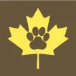 Amber Leaf Animal Hospital