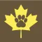 Amber Leaf Animal Hospital