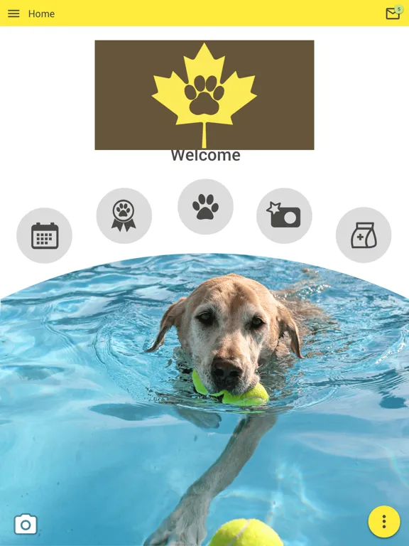 Amber Leaf Animal Hospital iPad  Ekran Görüntüleri