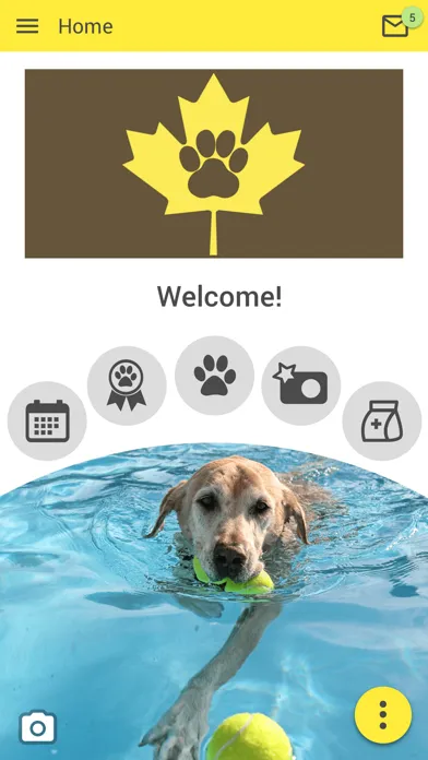 Amber Leaf Animal Hospital Ekran Görüntüleri