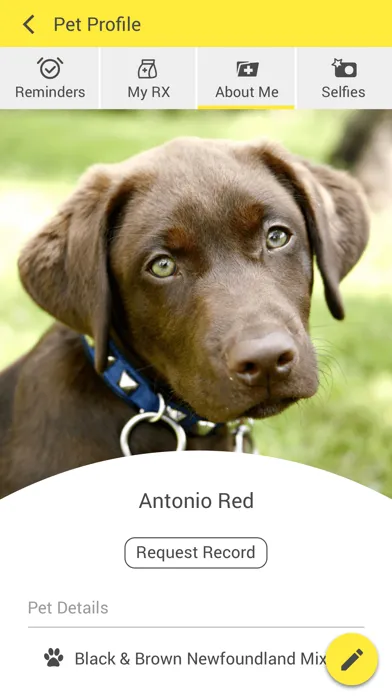 Amber Leaf Animal Hospital Ekran Görüntüleri