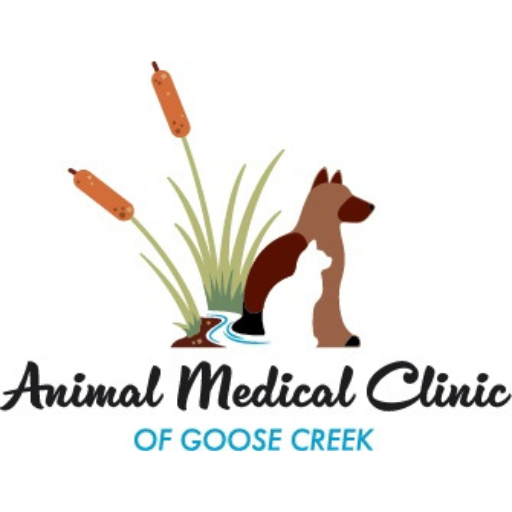 AMC Goose AMC Goose