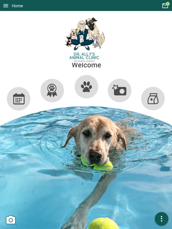 Dr Allys Animal Clinic PG iPad  سکرین شاٹس