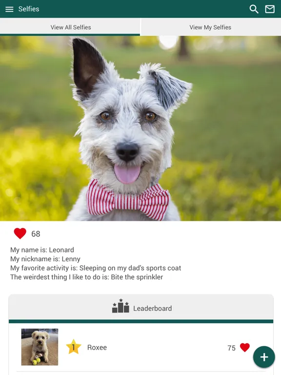 Dr Allys Animal Clinic PG iPad  سکرین شاٹس