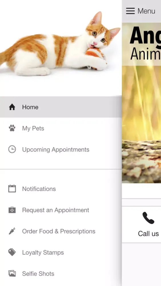 Angelcare AH Screenshots