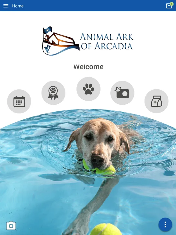 Animal Ark of Arcadia iPad  Screenshots