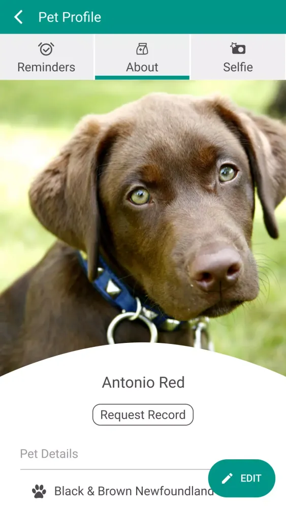 Capturas de pantalla de Animal Ark Veterinary Hospital